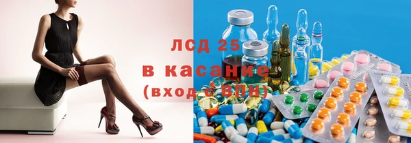 PSILOCYBIN Зеленодольск