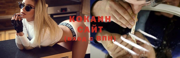 PSILOCYBIN Зеленодольск
