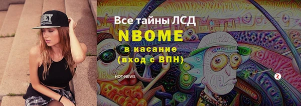 PSILOCYBIN Зерноград