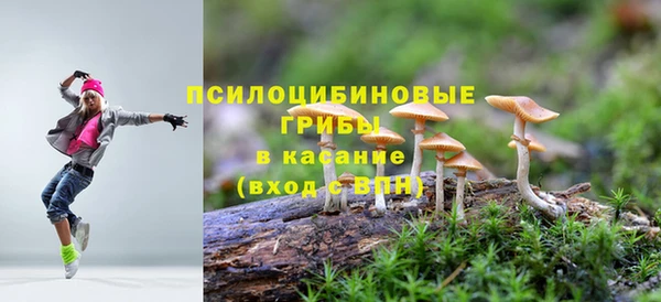 PSILOCYBIN Зерноград