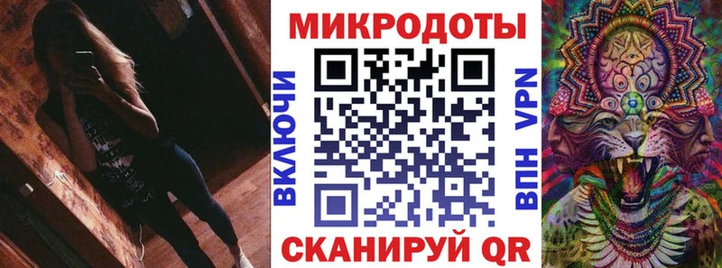 Галлюциногенные грибы Psilocybine cubensis  закладка  Родники 