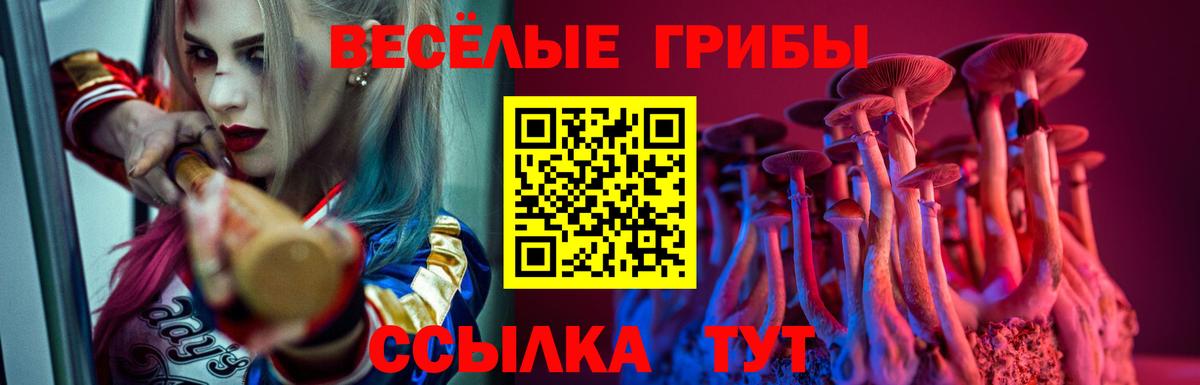 Псилоцибиновые грибы Psilocybine cubensis Родники