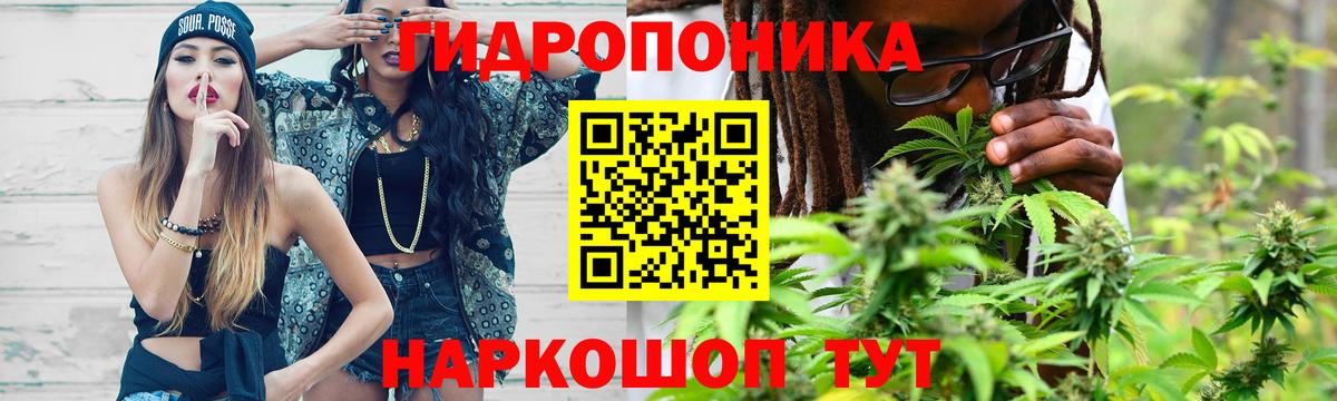 Конопля семена  Канабис White Widow  Марихуана планчик  Родники  Вход с VPN 